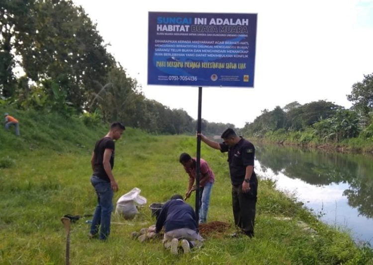 BKSDA memasang plang peringatan di Batang Kuranji, Kota Padang pada Jumat (26/11), yang berbunyi bahwa sungai tersebut habitat satwa buaya muara. IST