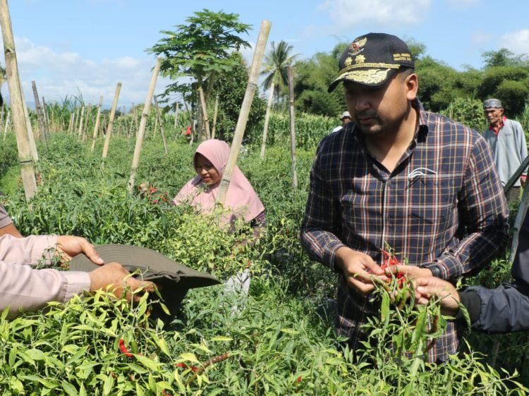 Wakil Gubernur Sumbar, Audy Joinaldy didapingi Wakil Walikota Payakumbuh, Erwi Yunaz saat berkunjung ke lahan pertanian warga, Sabtu (19/03/22). HUMAS