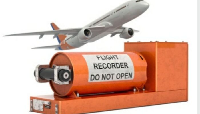 Kotak Hitam Kedua Pesawat China Tewaskan 132 Penumpang Ditemukan