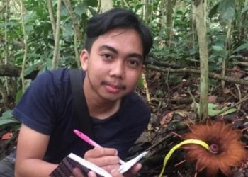 Bunga Rhizanthes Lowii