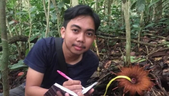 Rangga Agus Temukan 43 Bunga Rhizanthes Lowii di Agam