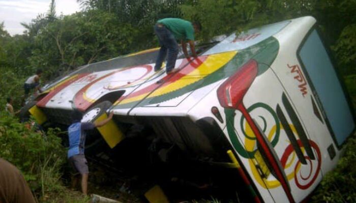 Bus NPM (BA 5678) Menabrak Pohon Kelapa, 18 Orang Luka-luka