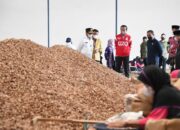 Presiden Jokowi Ingin Tingkatkan Ekspor Biji Pinang, PLN Siap Dukung dengan Listrik Andal