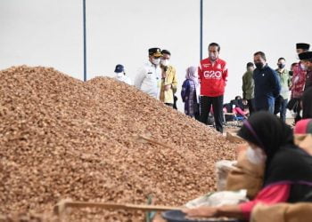 Presiden Jokowi Ingin Tingkatkan Ekspor Biji Pinang, PLN Siap Dukung dengan Listrik Andal