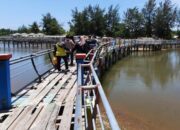 Pemerintah Nagari Tapakih dan Pokdarwis Perbaiki Jembatan Pantai Tiram