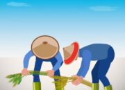 Nagari Lubuk Ulang Aling Tengah Butuh Pembinaan Pengembangan Pertanian