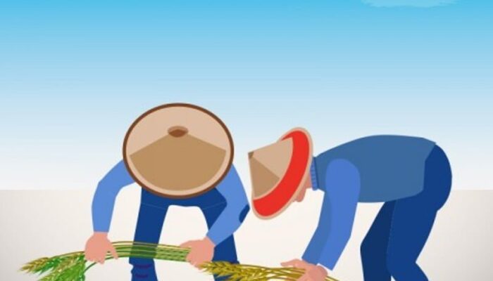 Nagari Lubuk Ulang Aling Tengah Butuh Pembinaan Pengembangan Pertanian