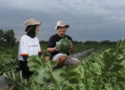 Peran Generasi Milenial Percepat Wujudkan Pertanian Modern