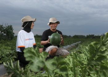 Peran Generasi Milenial Percepat Wujudkan Pertanian Modern