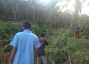 Lagi Mancing, Seorang Warga Hilang Dibawa Arus Sungai Batang Timpeh