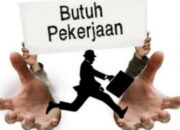 Januari-Februari, Pencaker di Kota Padang Sebanyak 7.000 Orang