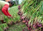 BRIN akan Transfer Teknologi Pangan dan Pertanian untuk Sumbar