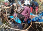 Menggenaskan! Warga Bengkalis Ditemukan Tewas dalam Hutan, Diduga Dimangsa Harimau