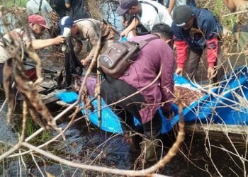 Menggenaskan! Warga Bengkalis Ditemukan Tewas dalam Hutan, Diduga Dimangsa Harimau