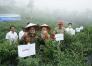 Begini Cara Bupati Tanah Datar Dorong Generasi Muda Turun Bertani