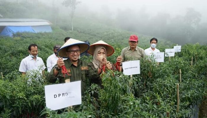 Begini Cara Bupati Tanah Datar Dorong Generasi Muda Turun Bertani