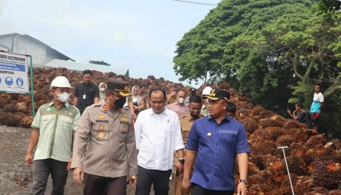 Bupati Sutan Riska Meradang! Cabut Izin Usaha, Jika Ada Pabrik Menolak Kelapa Sawit Warga
