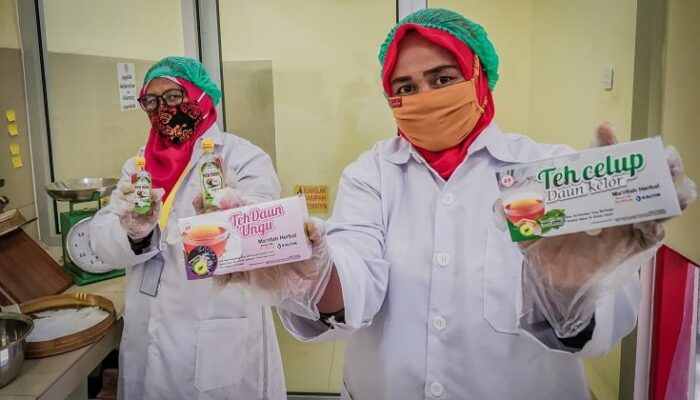 Bisnis Rumahan Tanaman Obat Asal Kaltim Ini Raih Omset Ratusan Juta Rupiah