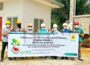 Penuhi Kebutuhan Pabrik Porang di Siak, Listrik di Riau Masih Surplus untuk Investasi