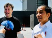 Bertemu Presiden Jokowi, Elon Musk: Saya ke Indonesia Bulan November