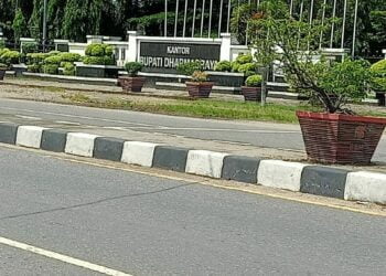 Petani Sawit Dharmasraya Batal Gelar Unjuk Rasa di Kantor Bupati, Ada Apa APKASINDO?