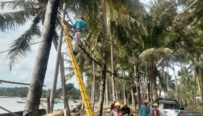 Siapkan Listrik Tanpa Kedip di Iven Word Surf Leage Krui Pro 2022, PLN Suplai 400 KVA dan Cadangkan 2 Genset Bergerak