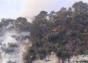Tiga Hektare Lebih Hutan di Kabupaten Lima Puluh Kota Terbakar