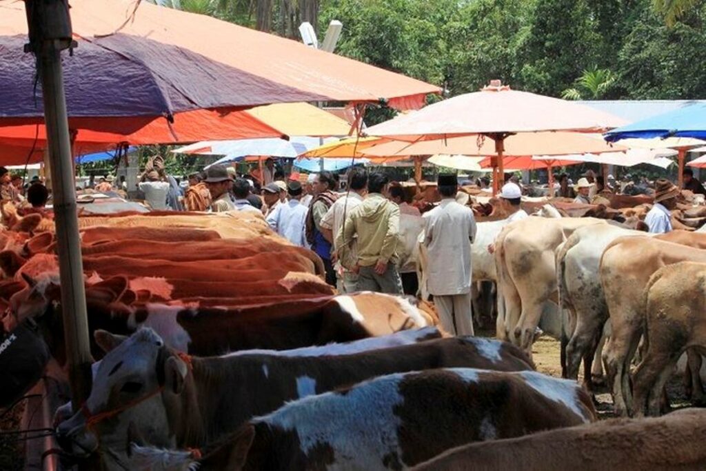 Pasar Muaro Paneh