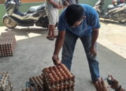 Harga Telur Ayam di Lima Puluh Kota Merangkak Naik