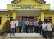 Pertemuan Pemkab Sijunjung dengan Pabrik Kelapa Sawit: Kami Tak Bisa Berbuat, Karena Ini Dampak Larangan Ekspor