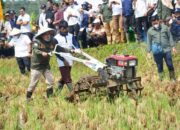 Bajak Gratis di Tanah Datar, Kunjungi: www.bajak-gratis.tanahdatar.go.id