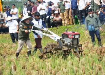 Bajak Gratis di Tanah Datar, Kunjungi: www.bajak-gratis.tanahdatar.go.id