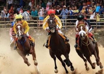 Catat! 26 Juni Lomba Pacu Kudo Besar-besaran Digelar di Padang Panjang