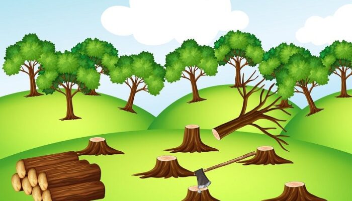 Penebangan Hutan, Satwa Liar di Mentawai Terancam Kehilangan Habitat