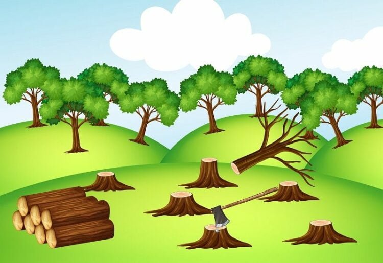 Penebangan hutan