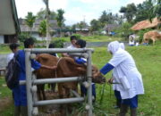 Jangan Main-main dengan Siswa SMK PP Padang Mangateh, Kompetensi Lulusanya Sertifikasi 3 Asia Pasific