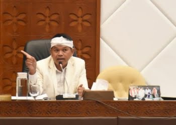 Aggota DPR RI Dedi Mulyadi: Sri Mulyani Keliru Cara Menilai Potensi  Kehutanan