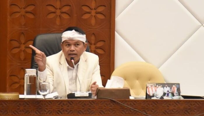 Aggota DPR RI Dedi Mulyadi: Sri Mulyani Keliru Cara Menilai Potensi  Kehutanan