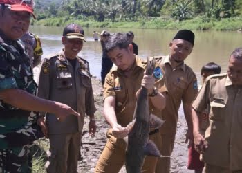 Walikota Sawahlunto Kagum dengan Hasil Panen Ikan di Sungai Lubuk Larangan Desa Talawi