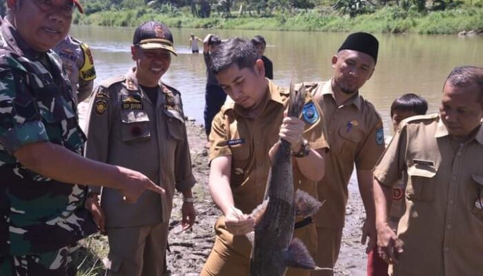 Walikota Sawahlunto Kagum dengan Hasil Panen Ikan di Sungai Lubuk Larangan Desa Talawi