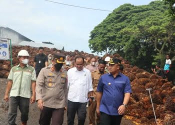 Bupati Sutan Riska: Bantuan Sapras dari Kementan dapat Tingkatkan Produktivitas Petani Sawit