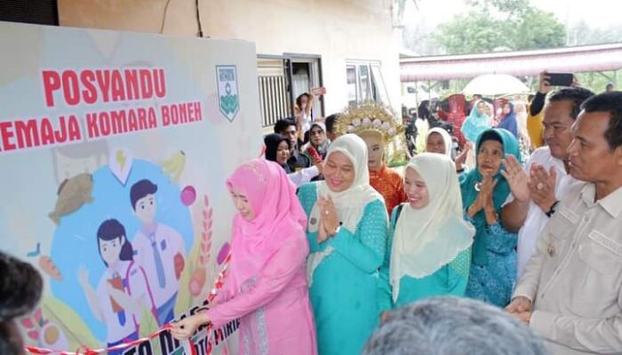 Ada Posyandu Remaja, Inovasi Karang Taruna Komara di Desa Koto Marapak Pariaman