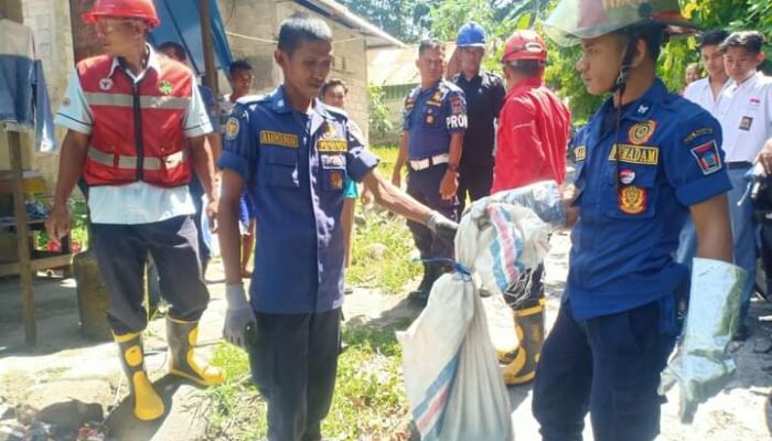 Lagi, Ular Mematikan King Cobra Sepanjang 3 Meter Masuk ke Rumah Warga di Padang