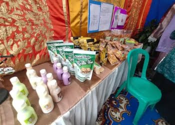 Beragam Produk Unggulan UMKM Padang Panjang Dipromosikan di Jambore Kader PKK