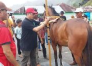 Digelar 26 Juni, 51 Kuda Telah Mendaftar Pacu Kuda Anak Nagari Padang Panjang