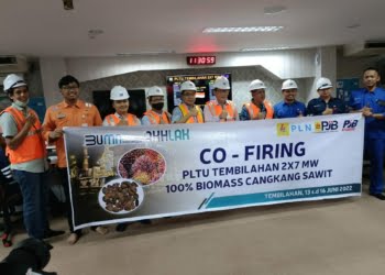 Sukses! PLTU Tembilahan 100 Persen Gunakan Bahan Bakar Cangkang Sawit Pengganti Batu Bara