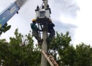 Wujudkan Seluruh Indonesia Berlistrik, PLN Terangi 3.339 Keluarga di 71 Desa Terpencil Sulawesi Barat 