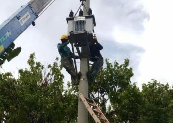 Wujudkan Seluruh Indonesia Berlistrik, PLN Terangi 3.339 Keluarga di 71 Desa Terpencil Sulawesi Barat 