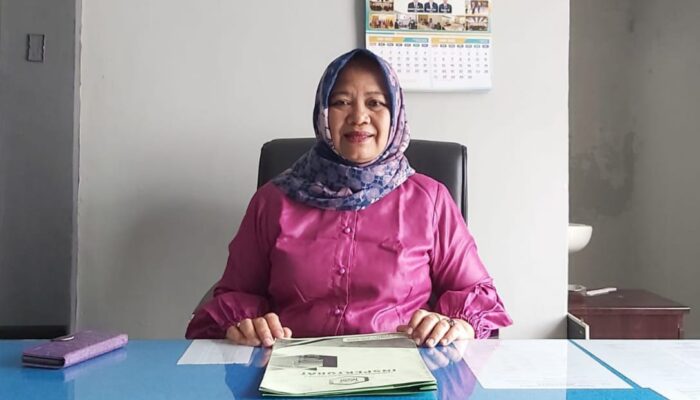 Pengawasan APIP Terhadap Program Eks PNPM Pedesaan  Jadi BUMDes Bersama