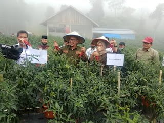 Mantap! Petani di Tanah Datar Disekolahkan Agar Bertani Lebih Produktif Lagi dengan Alih Teknologi